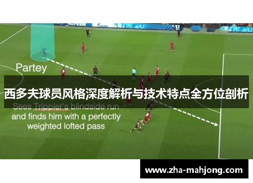 西多夫球员风格深度解析与技术特点全方位剖析