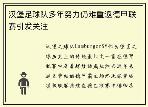 汉堡足球队多年努力仍难重返德甲联赛引发关注 汉堡足球队多年努力仍难重返德甲联赛引发关注